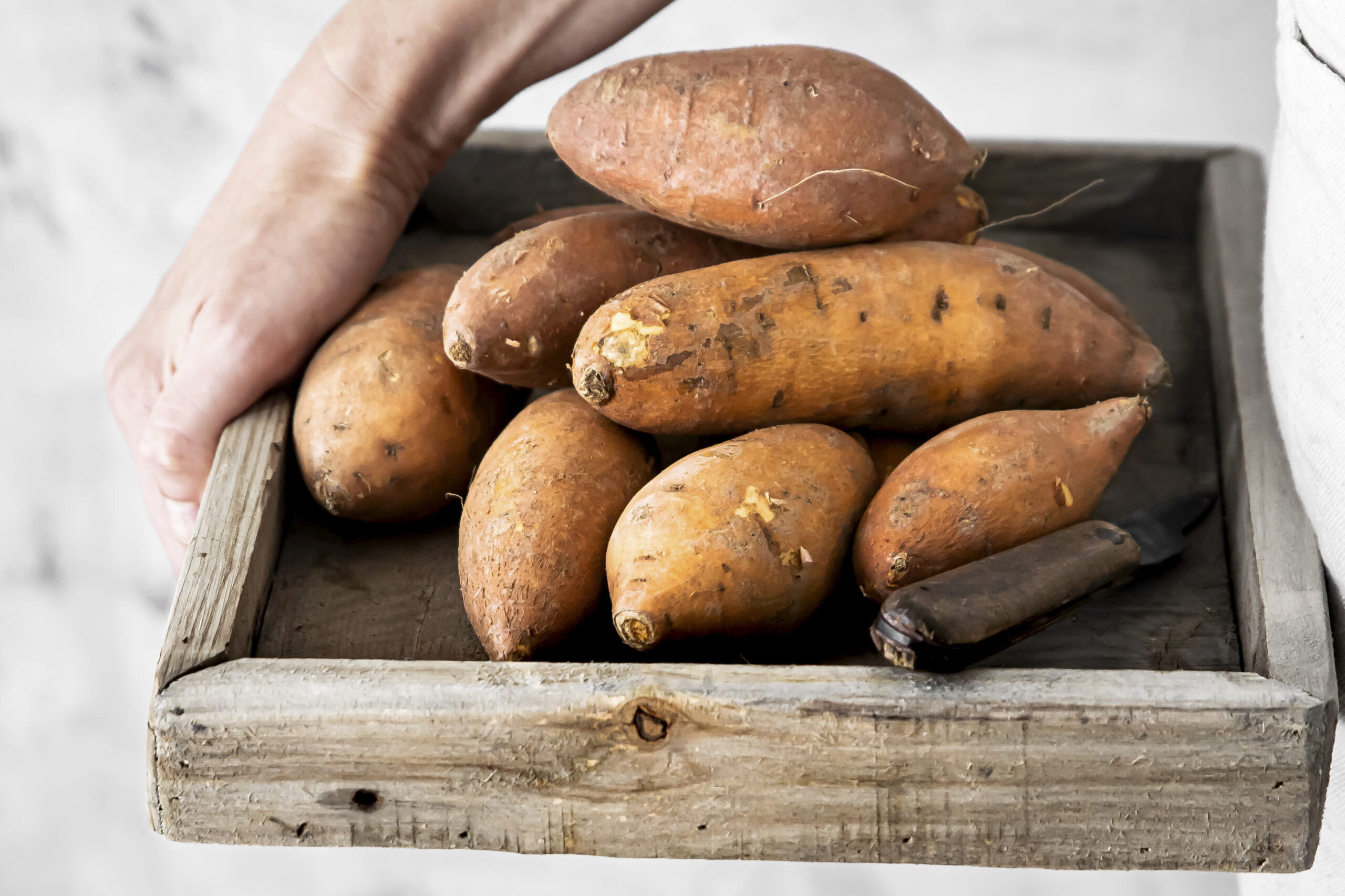 white sweet potato benefits